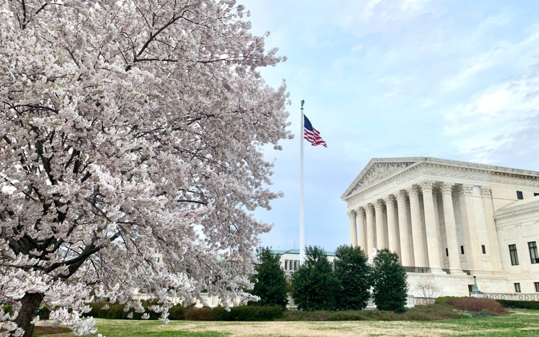 supreme court building with cherry blossoms